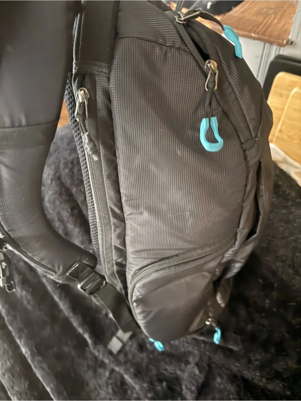 Thule Black Camera Backpack with Teal Accents
